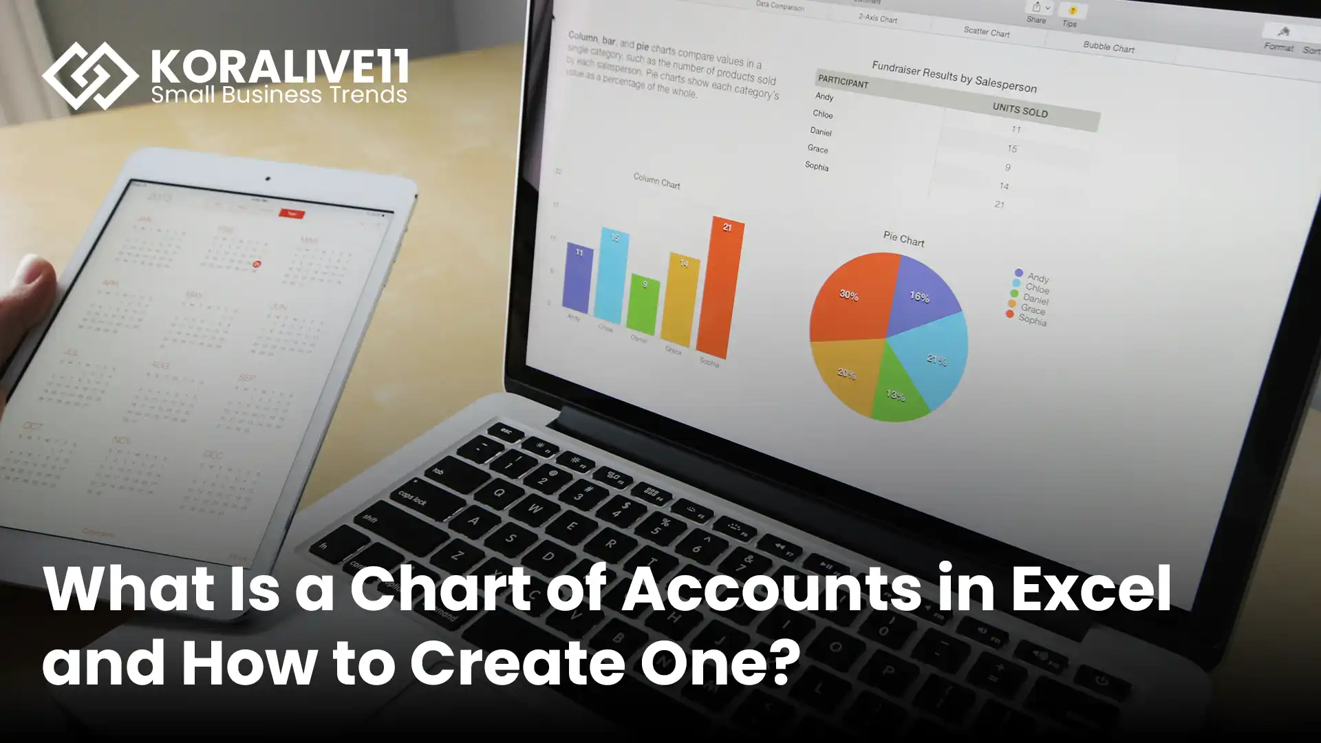 Chart of Accounts in Excel