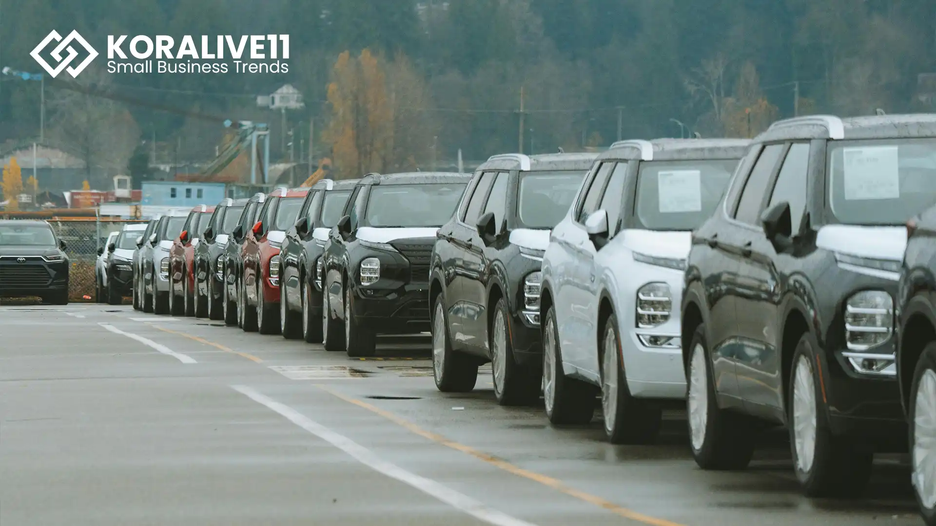 Understanding the Used Car Market